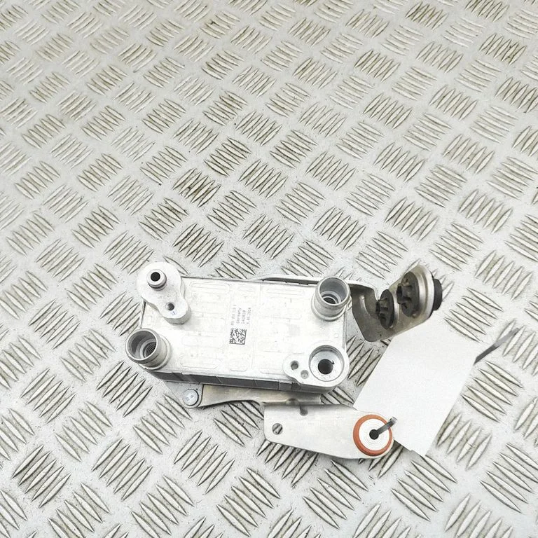 Hybrid/electric vehicle battery fan 95C816765