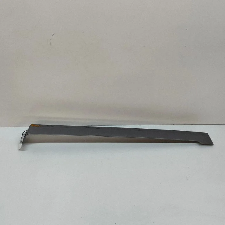 Moldings uz aizmugurējā spārna 9808384180