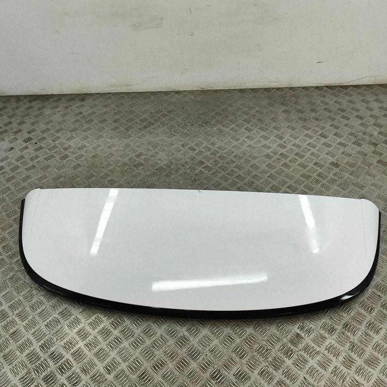 Tagaluugi spoiler 87250R2000
