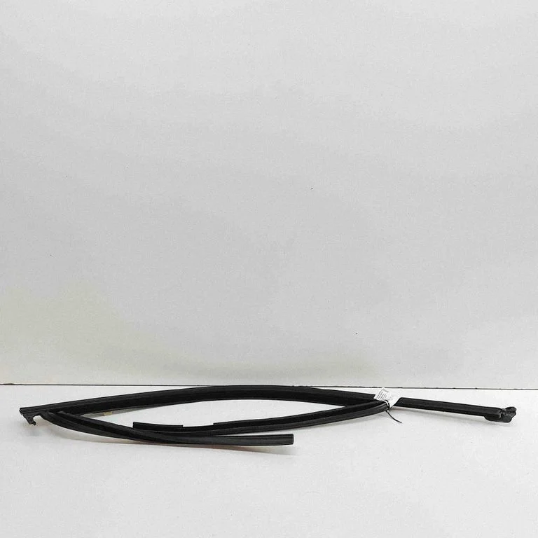 Front door glass trim molding 7393426