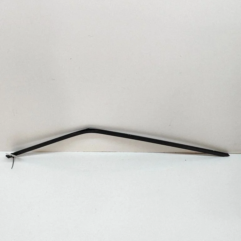 Front door glass trim molding DK62208A96AB