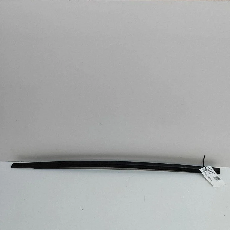 Front door glass trim molding 9811582080