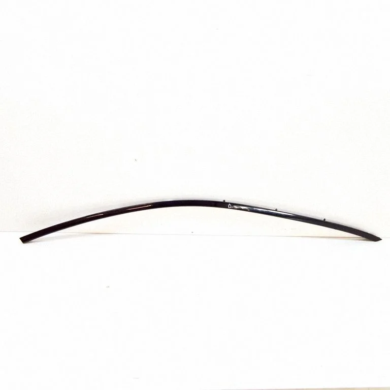 Front door glass trim molding 7221330
