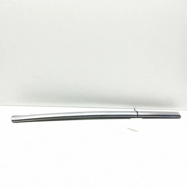 Door glass trim 109592000C