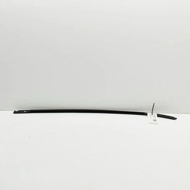 Door glass trim 7349642