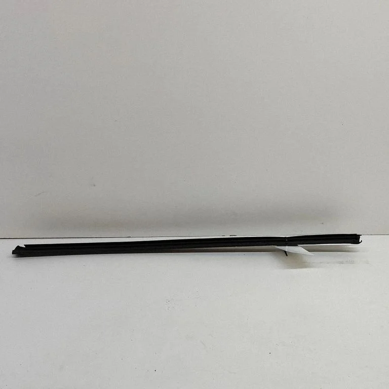 Door glass trim 11A837479