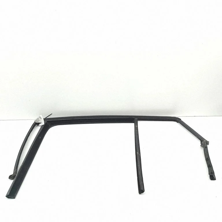 Rear door glass trim molding 7420835