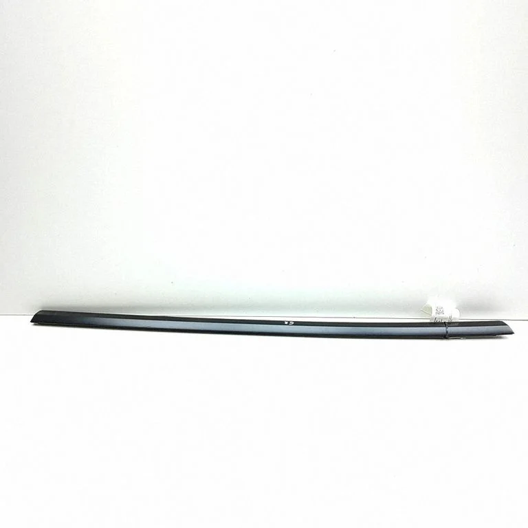 Rear door glass trim molding 162117000D