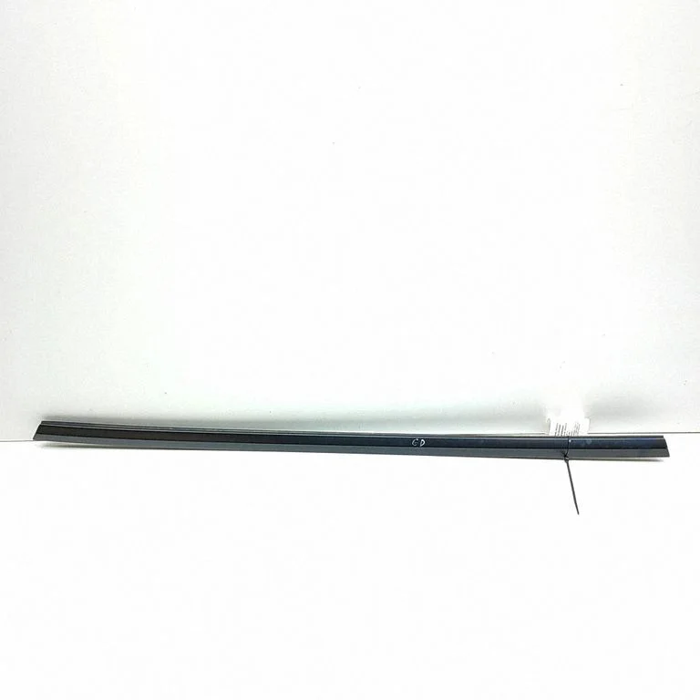Rear door glass trim molding 162116900D