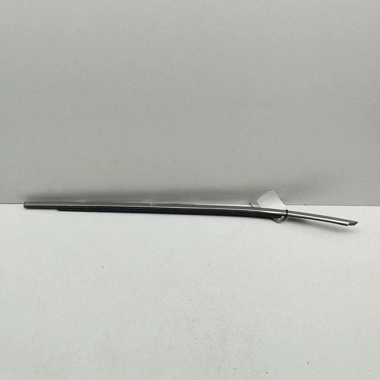 Rear door glass trim molding 7598778020