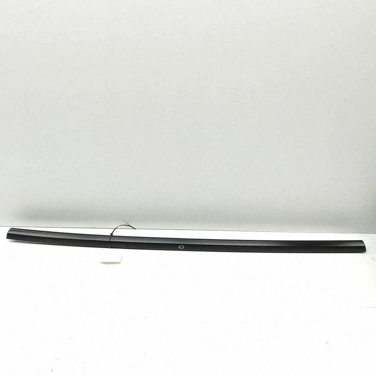 Rear door glass trim molding 108074801J