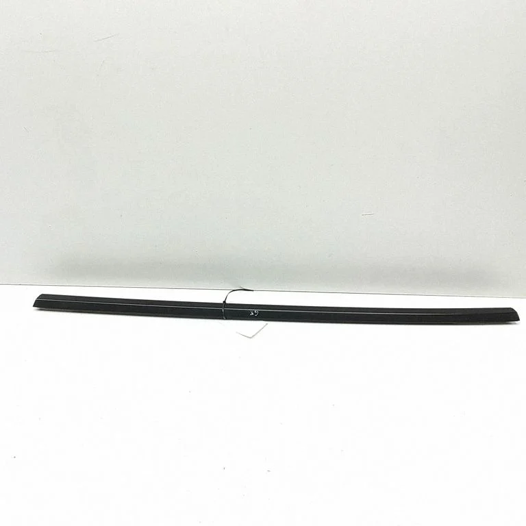 Rear door glass trim molding 108074501J