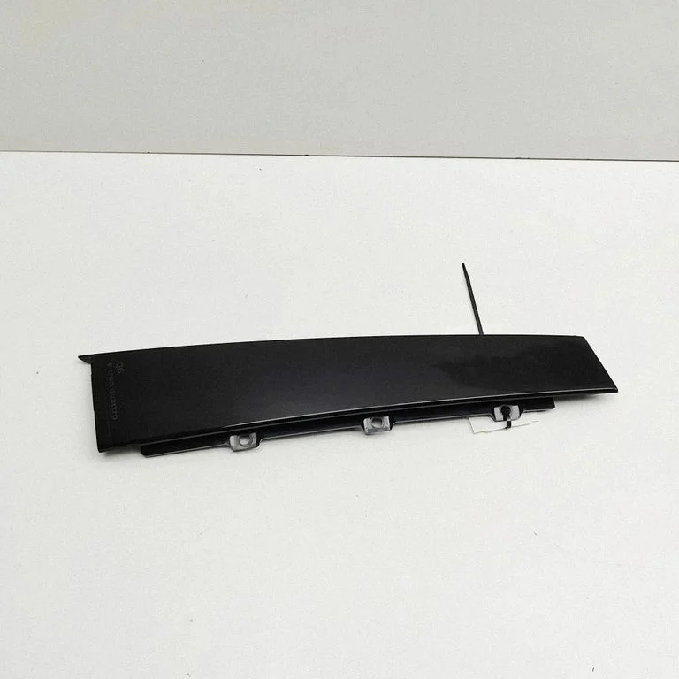 Rear door glass trim molding 85H839901