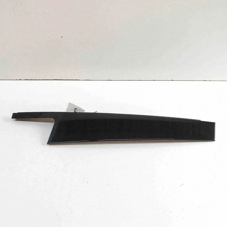 Rear door glass trim molding 7205380