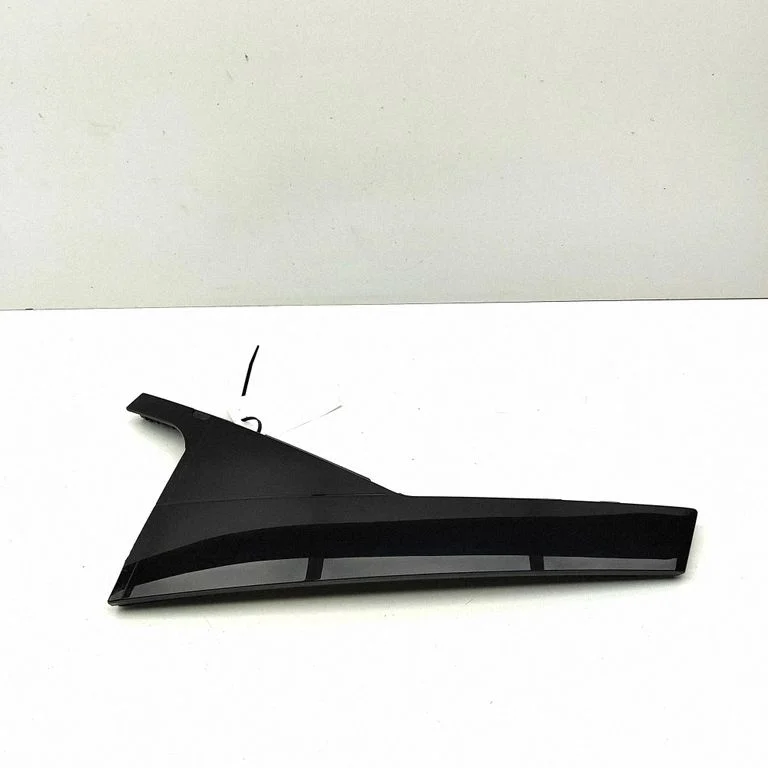 Rear door glass trim molding 32216047