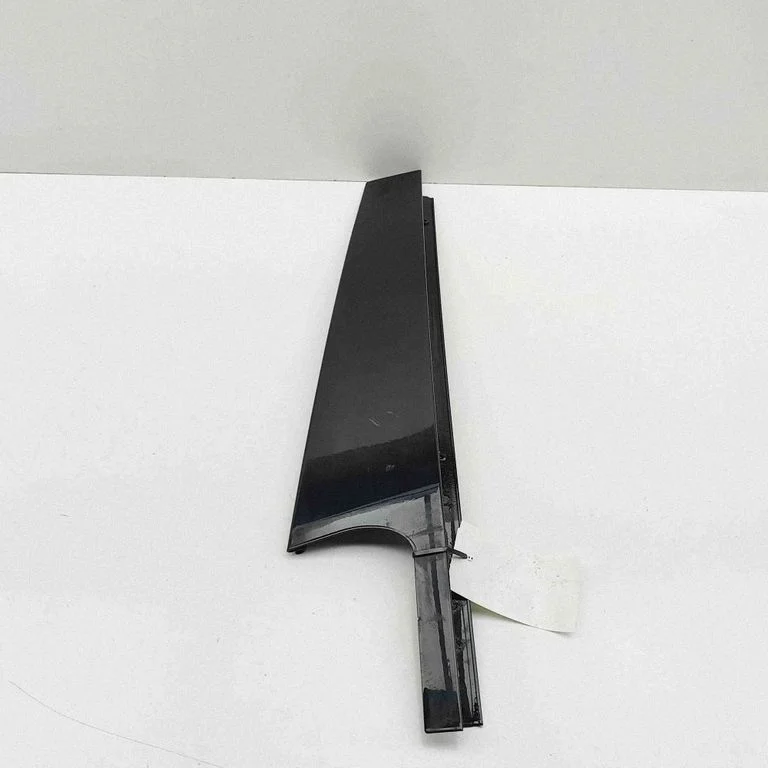 Rear door glass trim molding 7410045