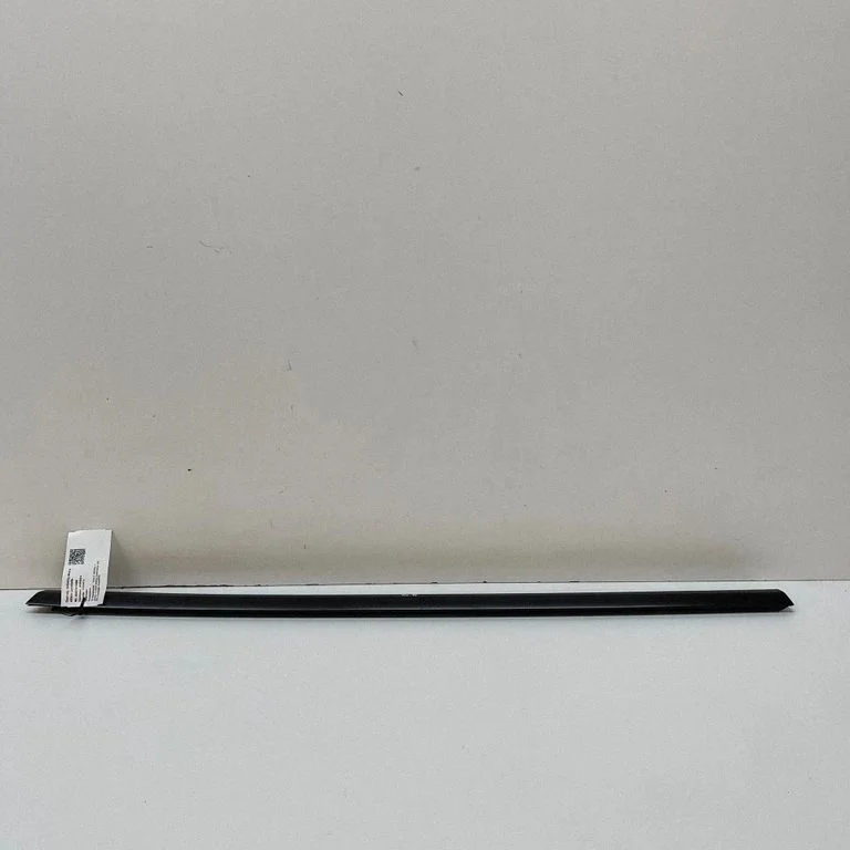 Rear door glass trim molding 149572300C