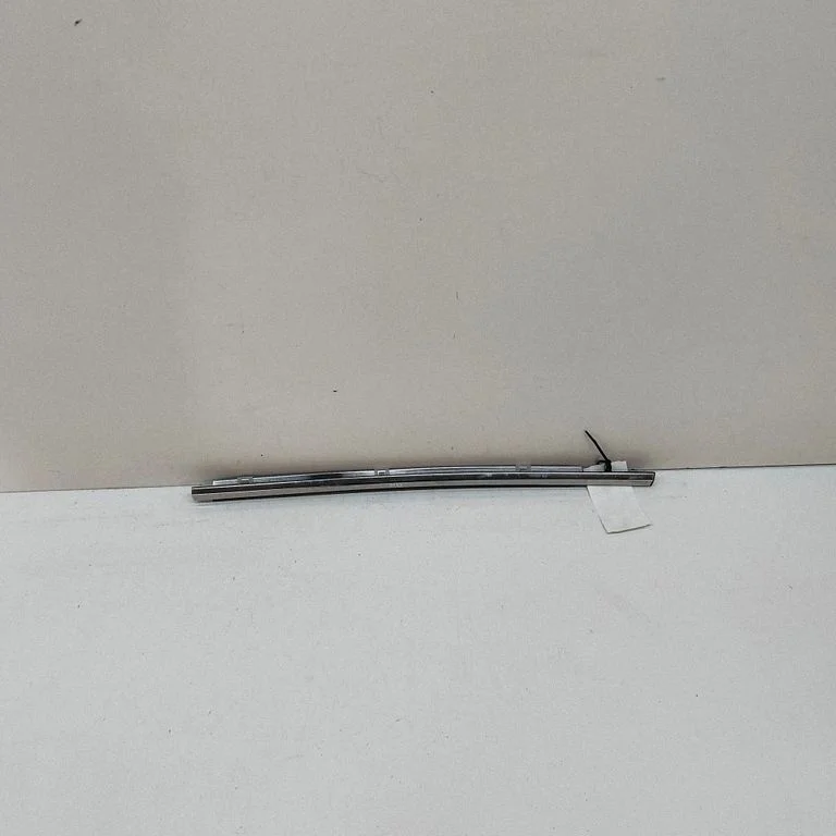 Rear door glass trim molding 7574076020