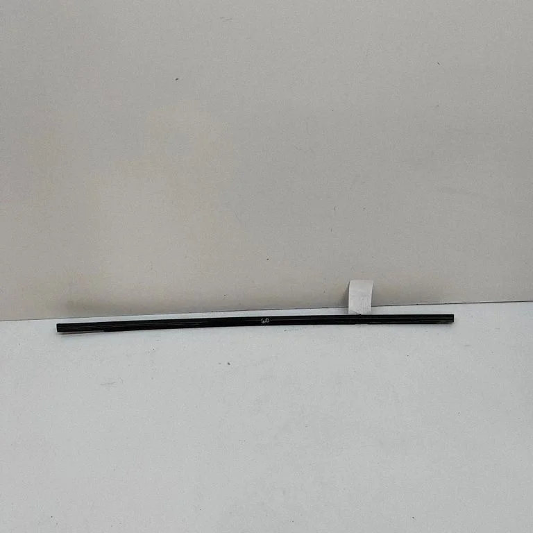Rear door glass trim molding 7187218