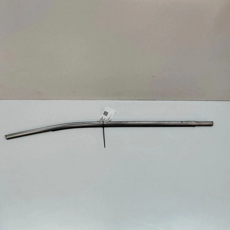 Rear door glass trim molding 10367163