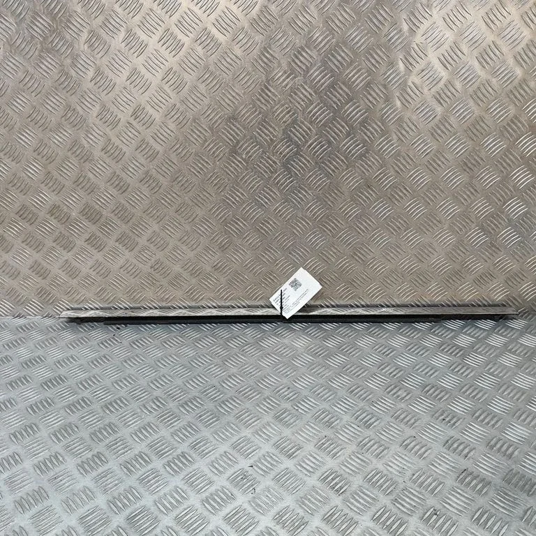 Rear door glass trim molding 55396321AD