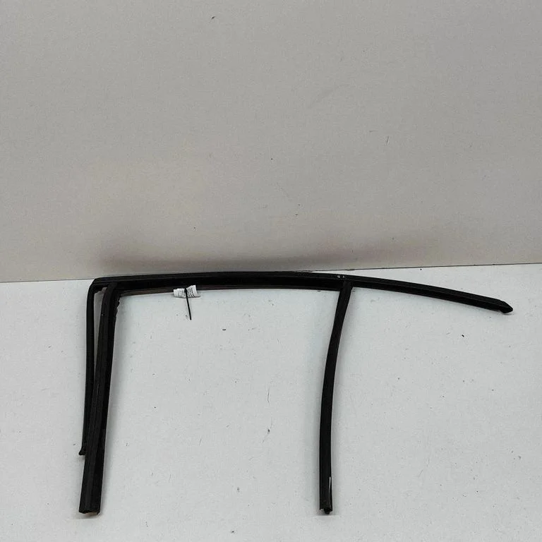 Rear door glass trim molding 7407405