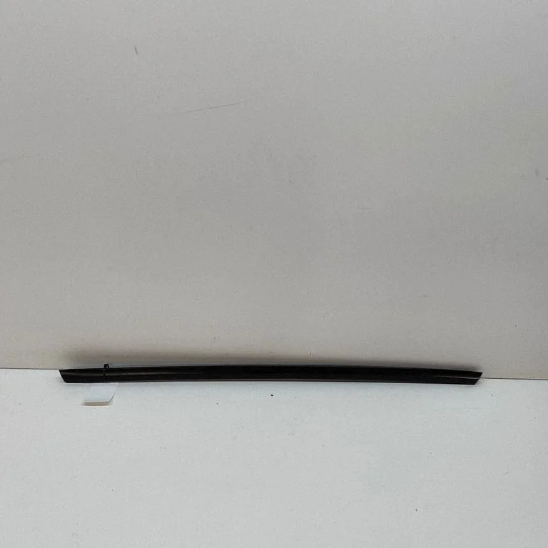 Rear door glass trim molding 149572100D