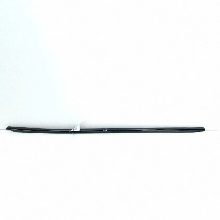 Rear door glass trim molding 5LG839476A