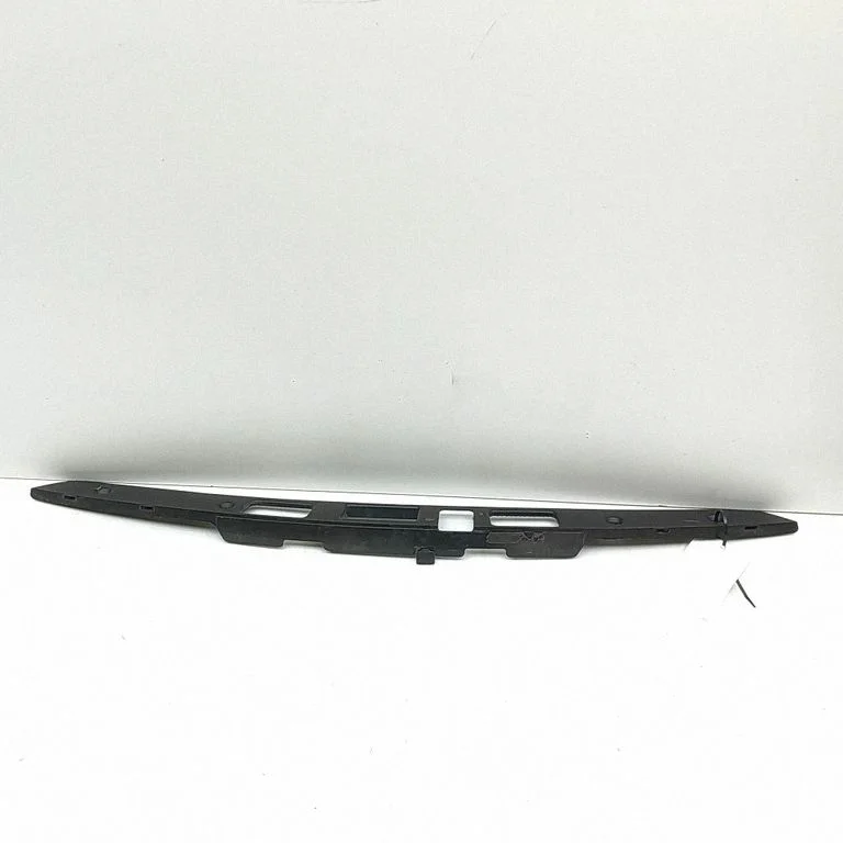 Trunk door license plate light bar 103537000E