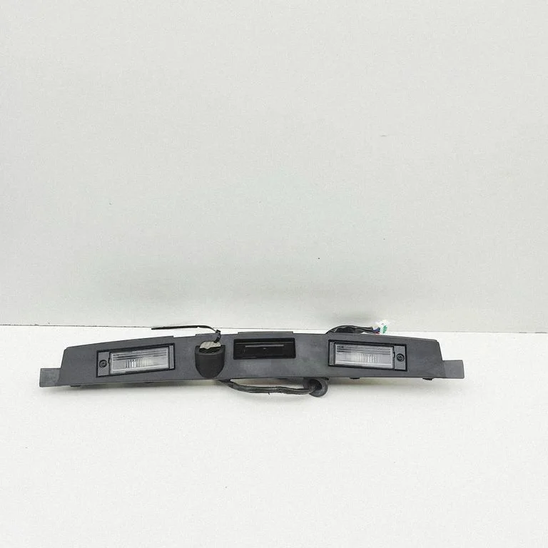 Trunk door license plate light bar 925012S500