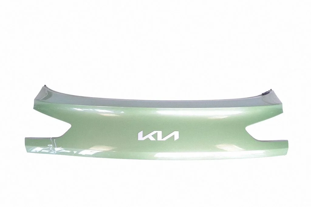 Trunk door license plate light bar 87310J7PF0