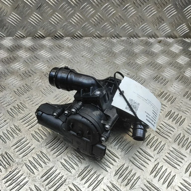 Termostaat 256002M810