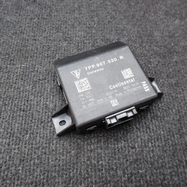 Gateway juhtmoodul – Porsche Cayman 981 (2012-2016)