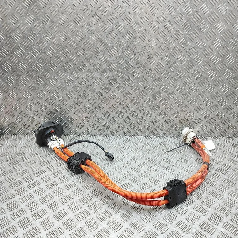 Elektriauto laadimiskaabel 296B15SK1B