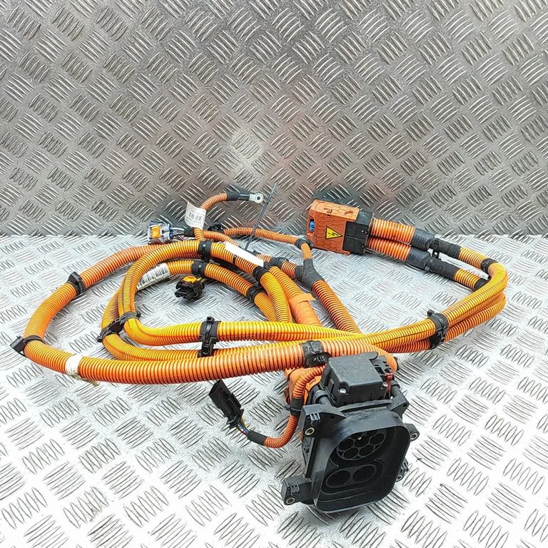Electric car charging cable 9848719480