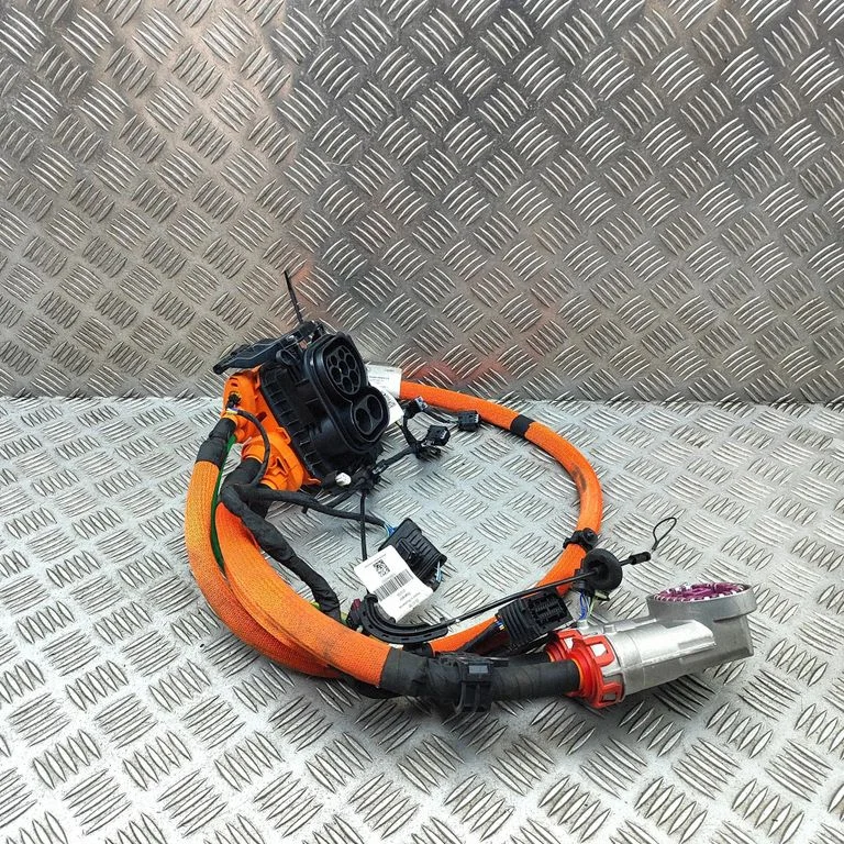 Elektromobiļa uzlādes vads A2955406516