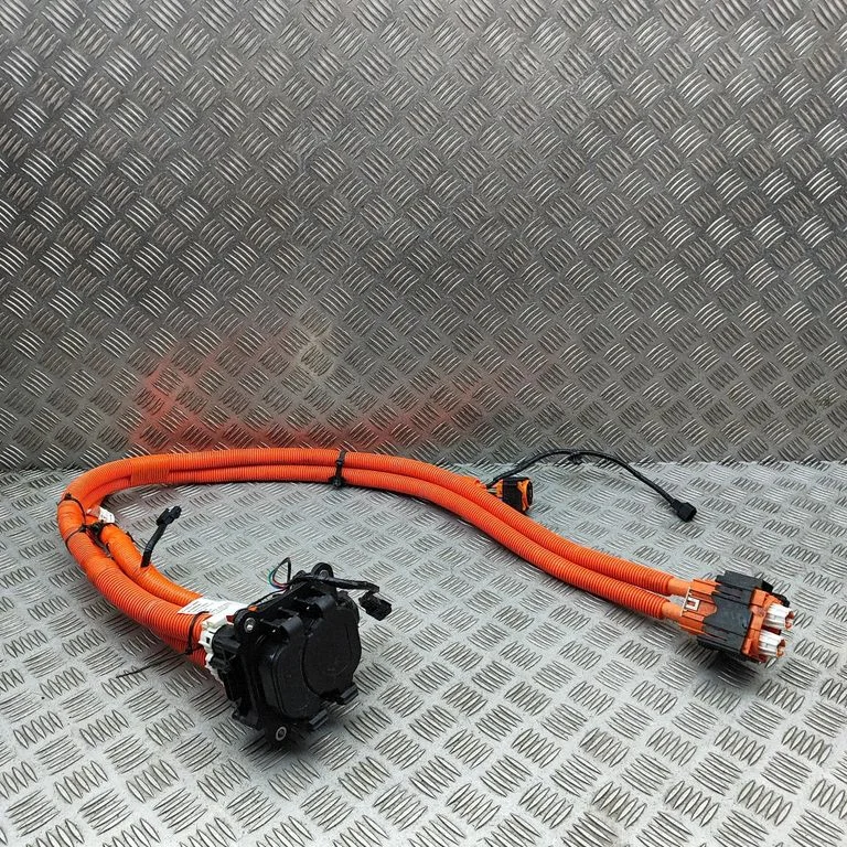 Elektriauto laadimiskaabel 296B15MS1C