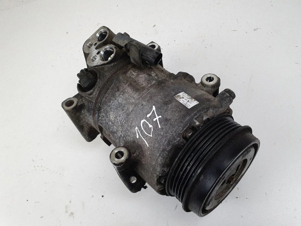 Kliimakompressor (pump) 4471907700