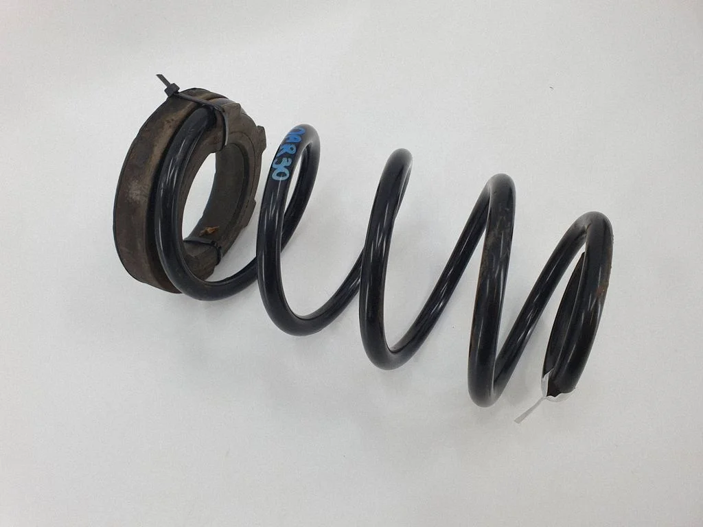 Rear coil spring