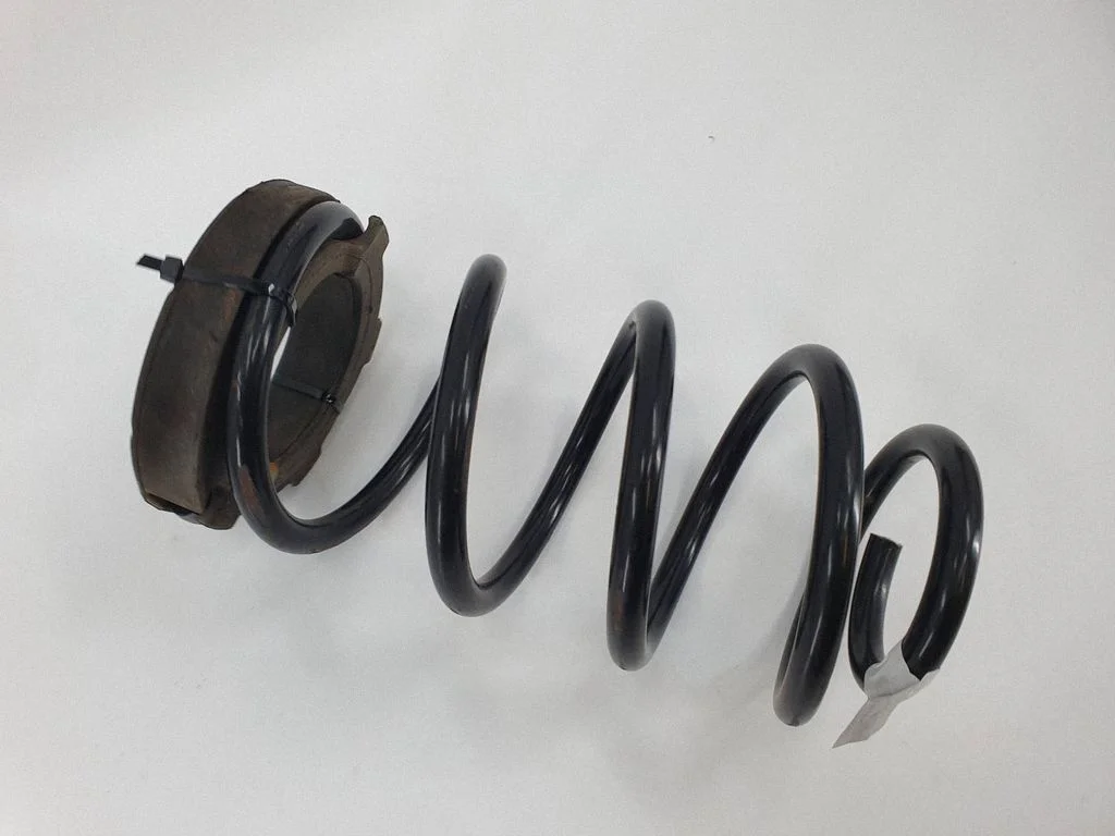 Rear coil spring