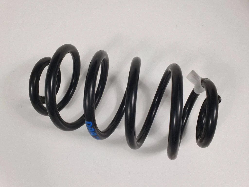 Rear coil spring