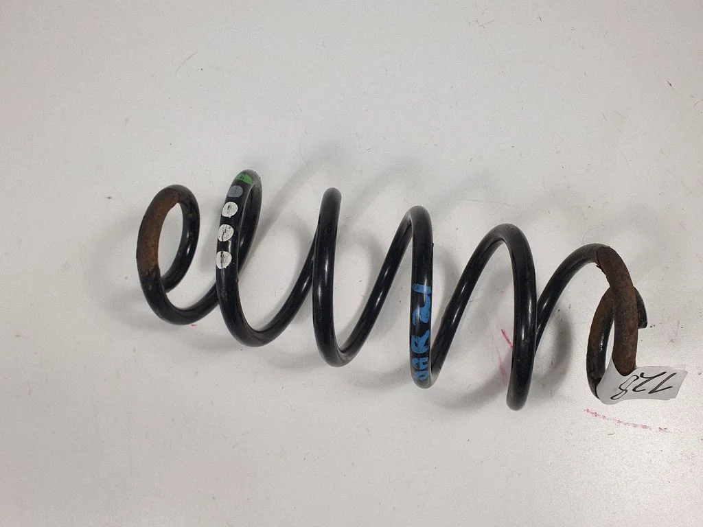 Rear coil spring