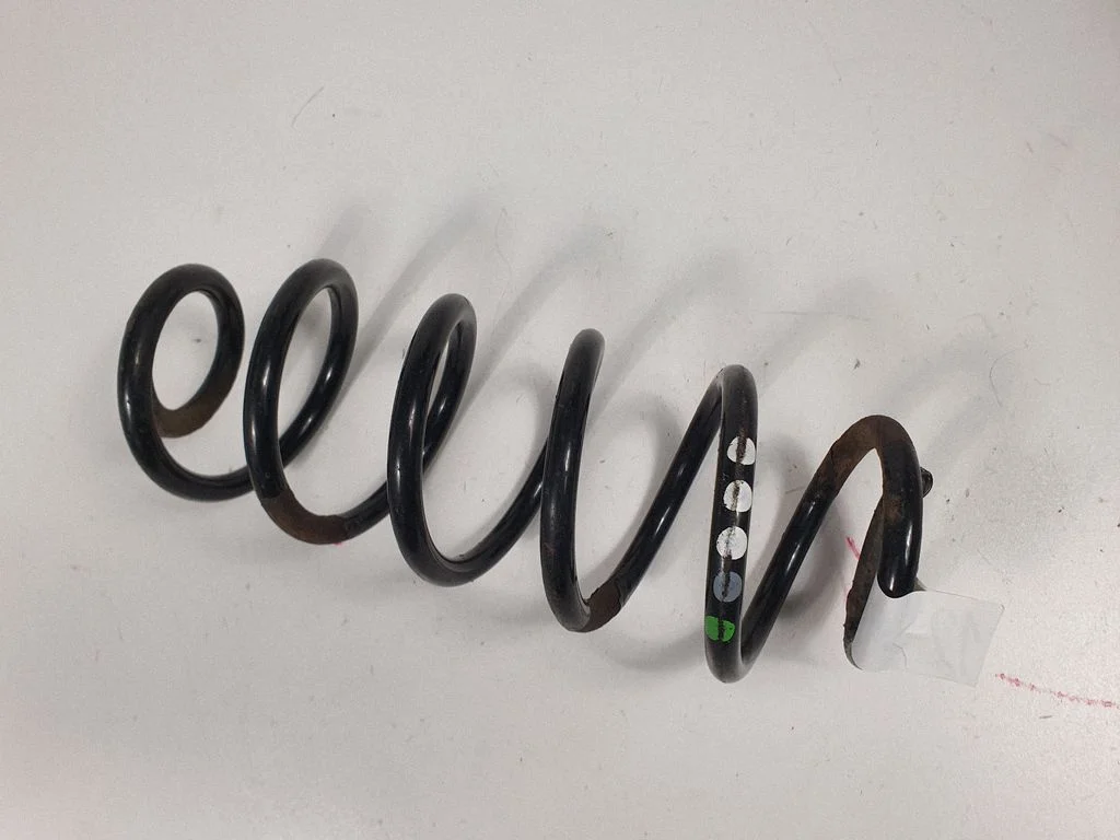Rear coil spring