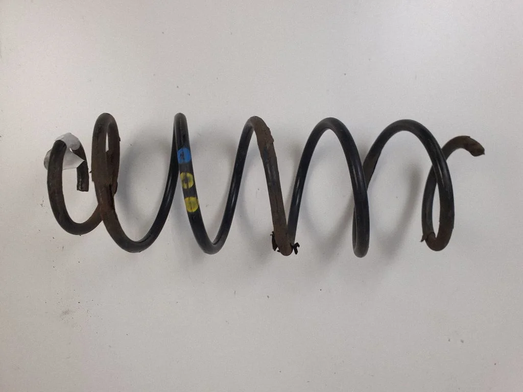 Rear coil spring