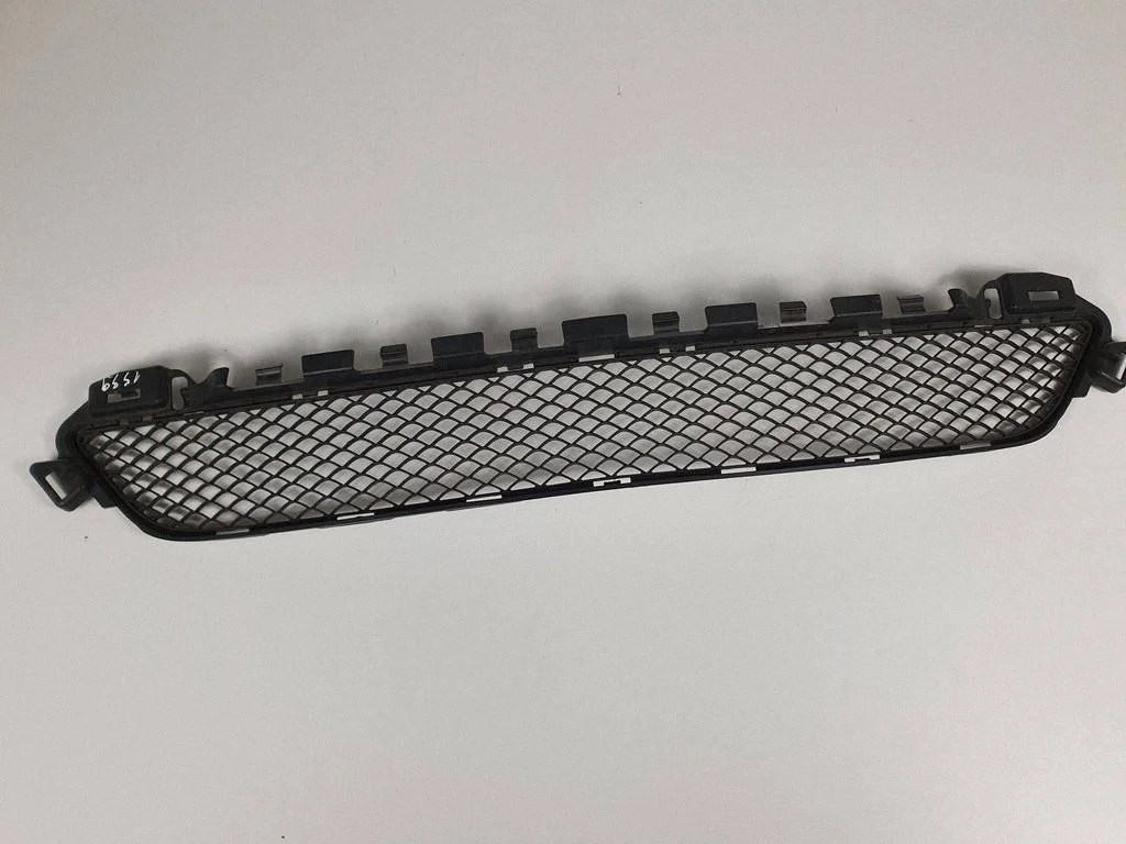 Front bumper lower grill A2058850428