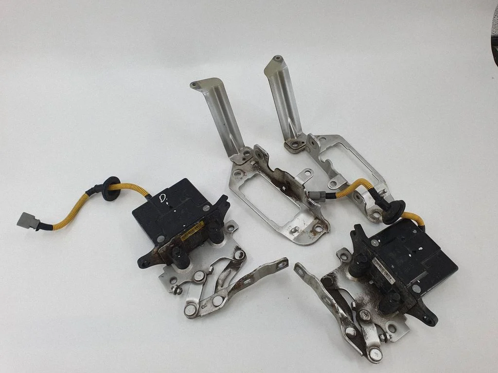 Engine bonnet/hood hinges 791602P000