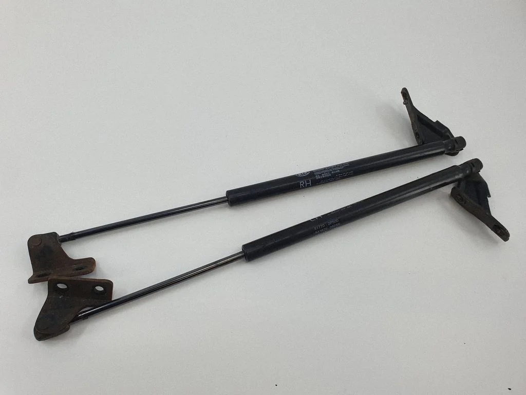 Tailgate/trunk strut/damper 817702P500