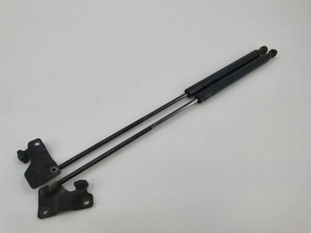 Tailgate/trunk strut/damper 8263986