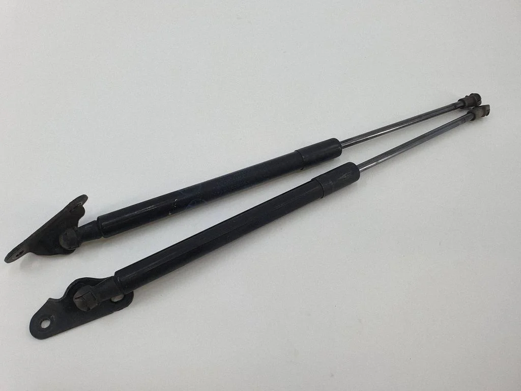Tailgate/trunk strut/damper 6895002140