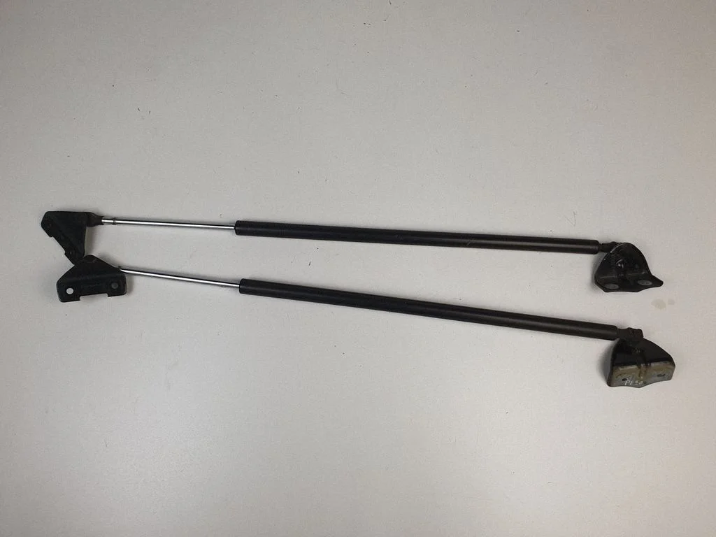 Tailgate/trunk strut/damper 15130R00